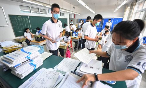 教育资讯新风向 信网携手青岛力量，优化教育咨询服务生态