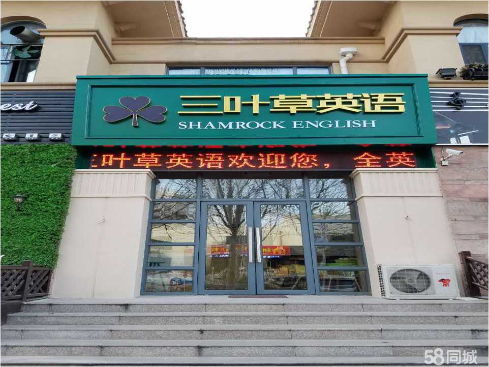 淄博三叶草教育咨询