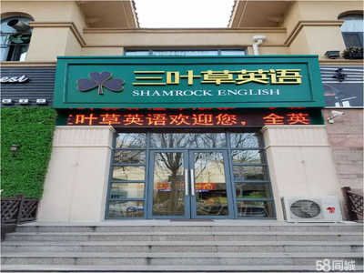 淄博三叶草教育咨询 专业服务助力成长之路